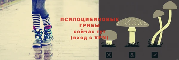 mdpv Карпинск